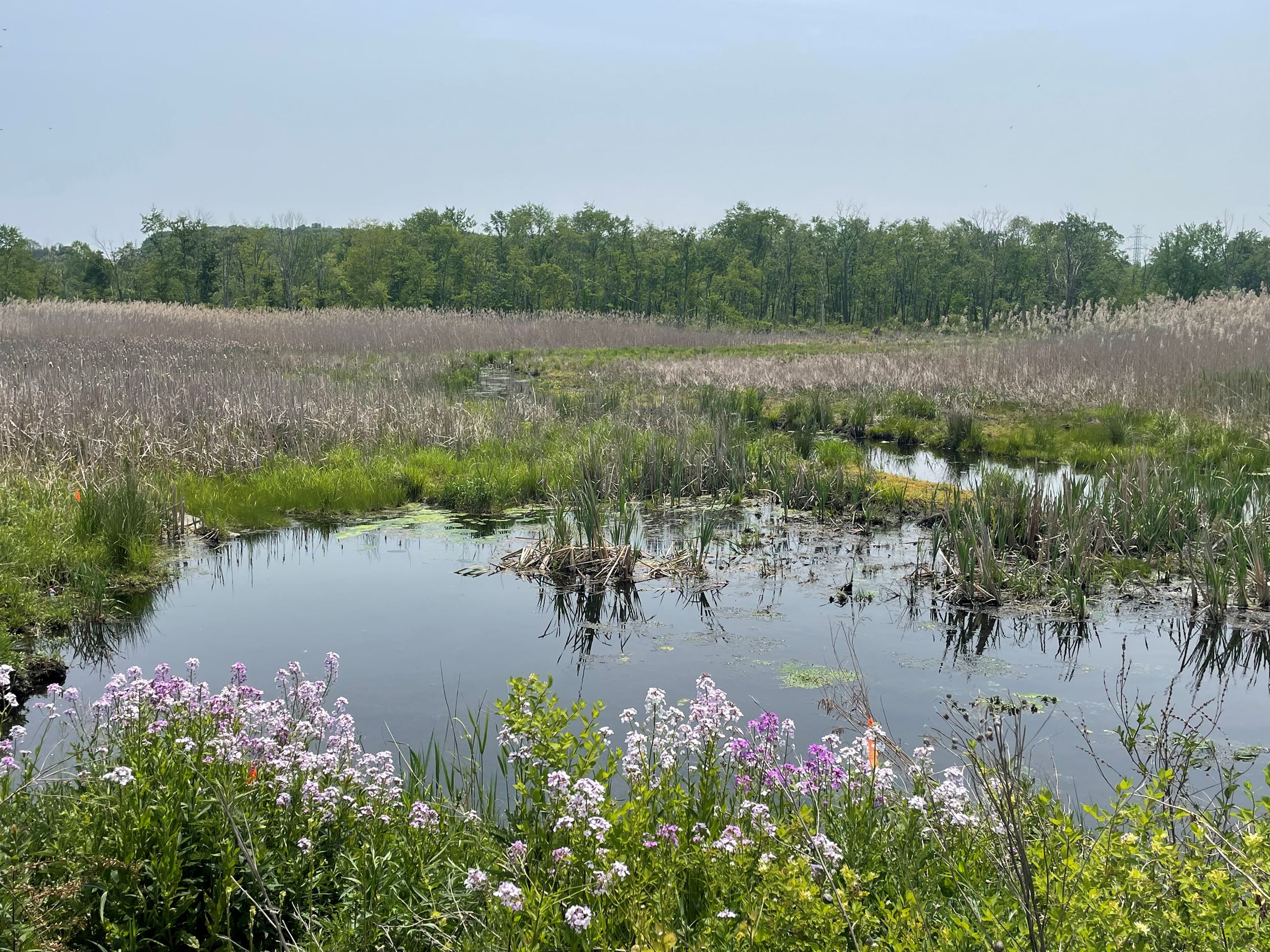 Pic from bridge area